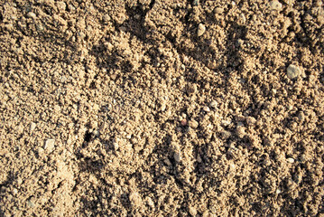 The texture of the sand.