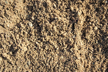 The texture of the sand.