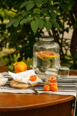 Summer outdoor junket. Cheese, croissant and berries at outdoor