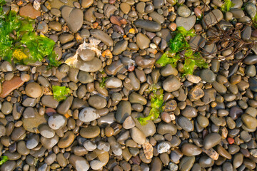 海岸沿いの小石の背景素材