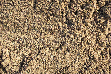 The texture of the sand.