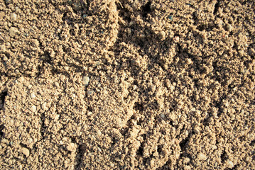 The texture of the sand.
