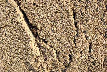 The texture of the sand.