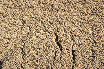 The texture of the sand.