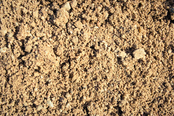 The texture of the sand.