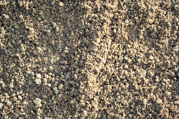 The texture of the sand.