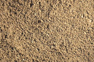 The texture of the sand.