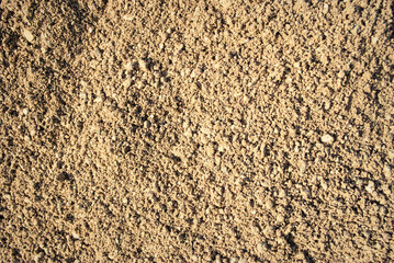 The texture of the sand.