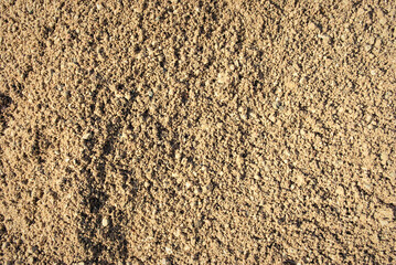 The texture of the sand.