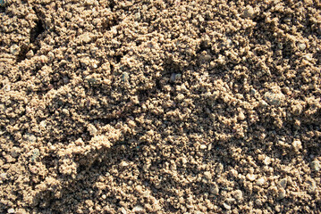 The texture of the sand.