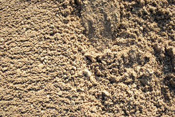 The texture of the sand.