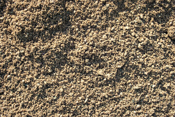 The texture of the sand.
