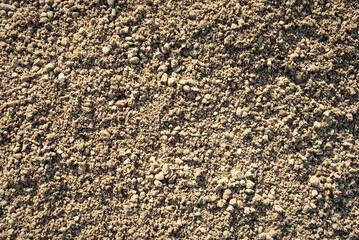 The texture of the sand.