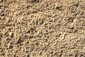 The texture of the sand.