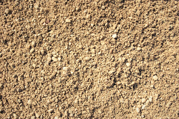 The texture of the sand.