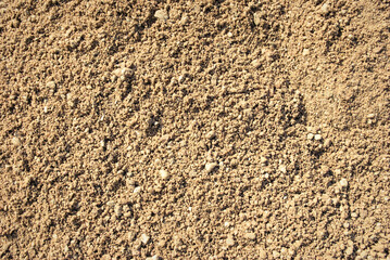 The texture of the sand.