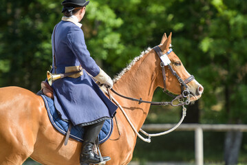 Obraz premium view of a rider during a hunt