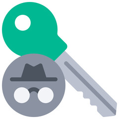 Secret Key Icon
