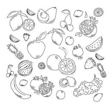 Set of fruits in line art style in black. The set contains such fruits as: lemon, banana, avocado, cherry, apple, pomegranate, watermelon, pineapple, strawberry, grapes, coconut.