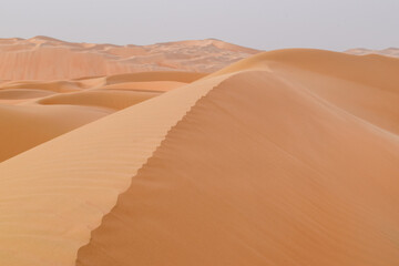 Fototapeta na wymiar Sand Dunes in Empty Quarter - United Arab Emirates
