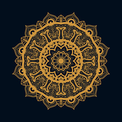  the luxury ornamental mandala design vector illustration