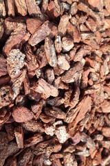 brown background of wooden log design for natural and seasonal concept