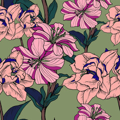 Beautiful pattern with flowers and leaf.Floral vector illustration. 
