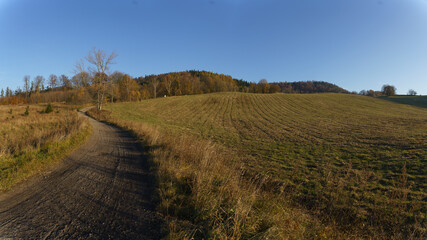 Fototapeta premium A road winding through fields and meadows. Part of the hiking trail