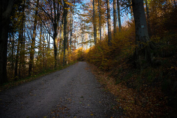Fototapeta premium Mountain hiking trail during the fall season. Sunny day.