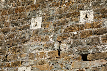 stone wall with plants in Montenegro