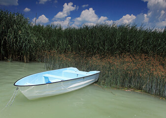Boat floating on Lake Balaton near reed