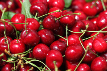 Some beautiful sweet cherry in pile