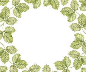 Watercolor round frame with vintage strawberry green leaves. Isolated on white background.