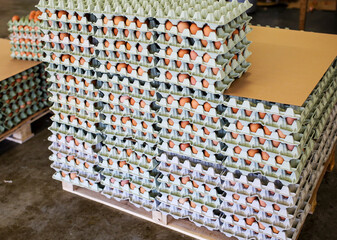 Storage of many of eggs in paper box