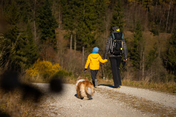 A mother with a child and a dog are walking along the mountain hiking trail. Family spending time.