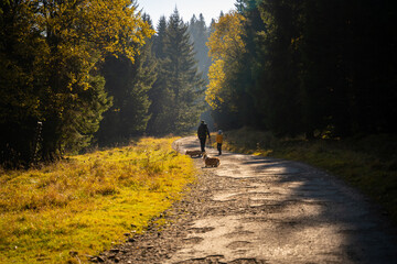 A mother with a child and a dog are walking along the mountain hiking trail. Family spending time.