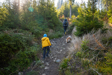 Fototapeta premium A mother with a child and a dog are walking along the mountain hiking trail. Family spending time.