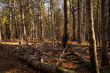 A mother with a child and a dog are walking along the mountain hiking trail. Family spending time.