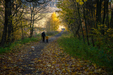 A mother with a child and a dog are walking along the mountain hiking trail. Family spending time.