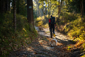 Obraz premium A mother with a child and a dog are walking along the mountain hiking trail. Family spending time.