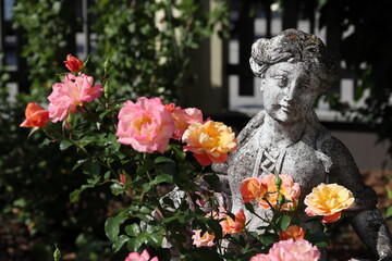 Blumen mit Statue im Garten