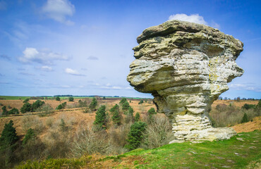 A close up of a rock structure, one of several such geological features in the Bridestones Nature Reserve, North Yorkshire Moors National Park