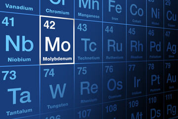 Molybdenum on periodic table of the elements. Metal and chemical element with symbol Mo and atomic number 42. Used for steel production and chemical applications. Essential element in most organisms. © Peter Hermes Furian
