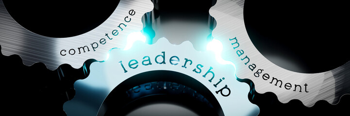 Leadership, competence, management - gears concept - 3D illustration