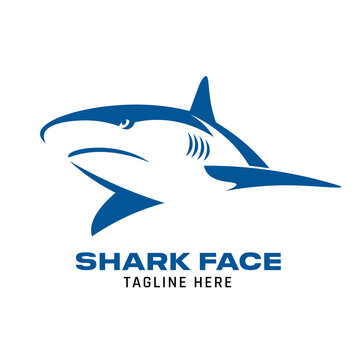 Shark face logo logo in modern style, perfect for company and brand logo design