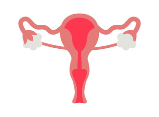 Female reproductive organ. Vector illustration