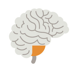Brain human organ. Vector illustration