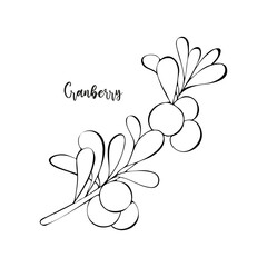 Cranberry branch with berries and leaves hand drawn doodle, isolated, white background. Healthy food, eco.