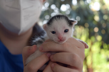 Gatito blanco callejero en manos de joven veterinaria
