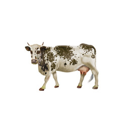 vache laitière, animal, ferme, bétail, gazon, en marche, agriculture, champ, blanc, brun, prairie, normande, jaune, noir, blanche, gris, alpage, vache laitière, mammifère, taureau, rural, , nature, mo